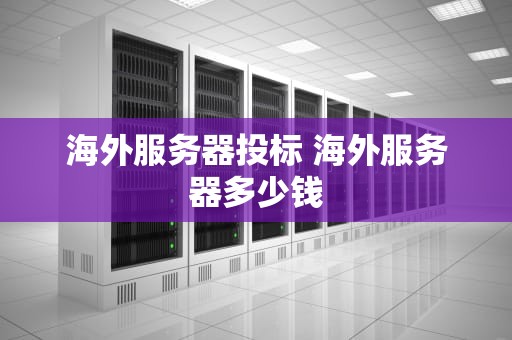 海外服务器投标 海外服务器多少钱