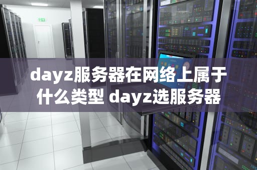 dayz服务器在网络上属于什么类型 dayz选服务器