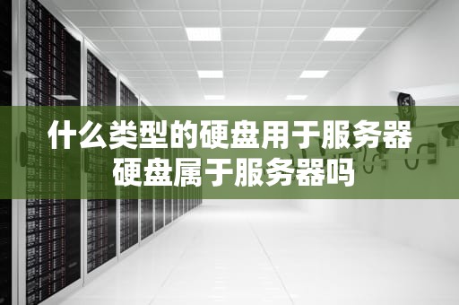 什么类型的硬盘用于服务器 硬盘属于服务器吗
