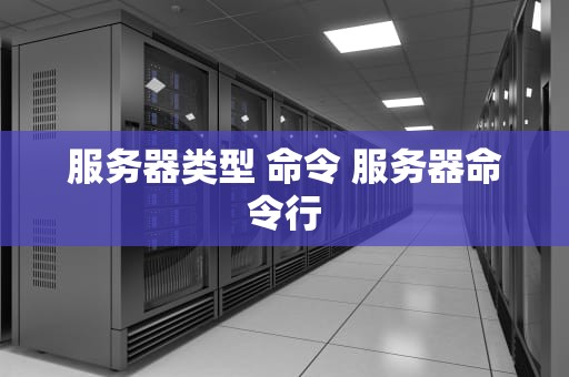 服务器类型 命令 服务器命令行