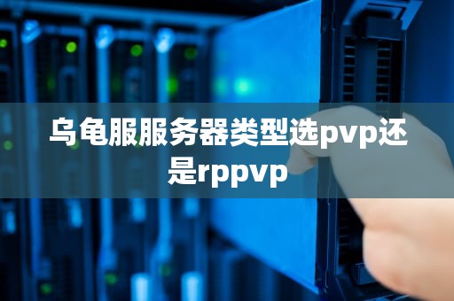 乌龟服服务器类型选pvp还是rppvp