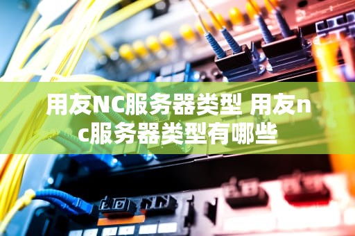 用友NC服务器类型 用友nc服务器类型有哪些