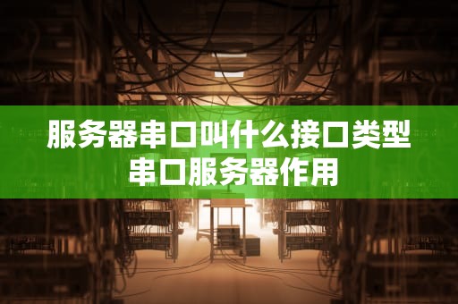 服务器串口叫什么接口类型 串口服务器作用