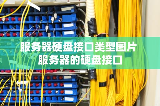 服务器硬盘接口类型图片 服务器的硬盘接口