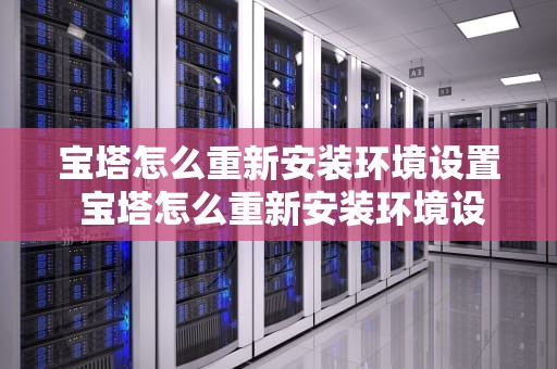 宝塔怎么重新安装环境设置 宝塔怎么重新安装环境设置界面