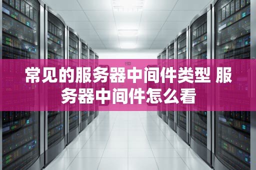 常见的服务器中间件类型 服务器中间件怎么看