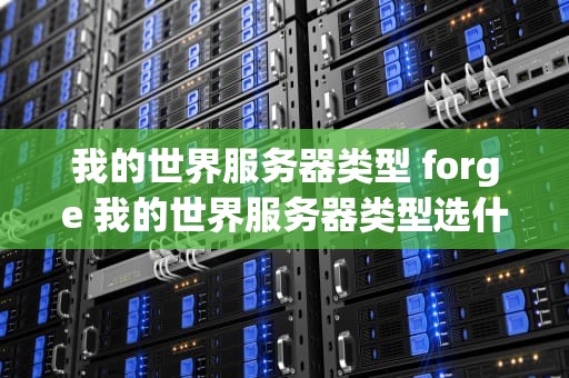 我的世界服务器类型 forge 我的世界服务器类型选什么