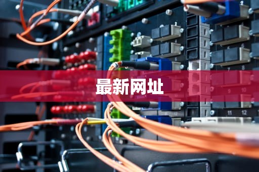 最新网址