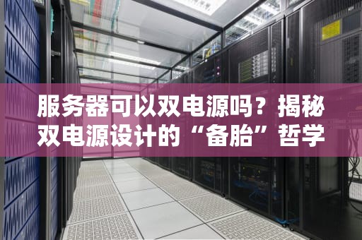服务器可以双电源吗？揭秘双电源设计的“备胎”哲学！