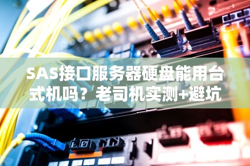 SAS接口服务器硬盘能用台式机吗？老司机实测+避坑指南！