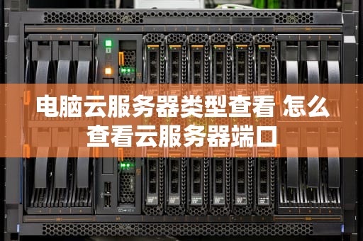 电脑云服务器类型查看 怎么查看云服务器端口