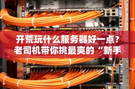 开荒玩什么服务器好一点？老司机带你挑最爽的“新手村”！