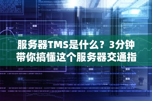 服务器TMS是什么？3分钟带你搞懂这个服务器交通指挥官！