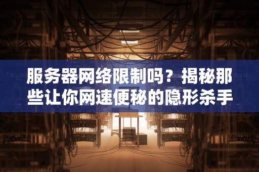 服务器网络限制吗？揭秘那些让你网速便秘的隐形杀手！