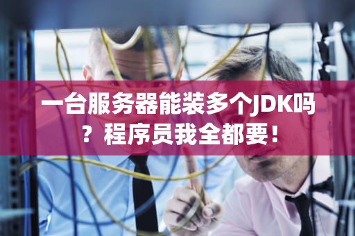 一台服务器能装多个JDK吗？程序员我全都要！