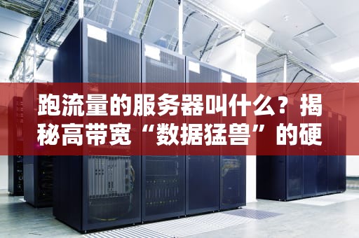 跑流量的服务器叫什么？揭秘高带宽“数据猛兽”的硬核真相！