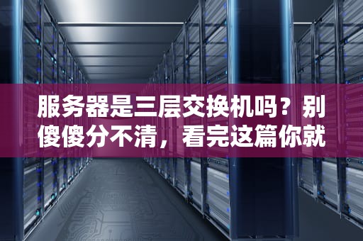 服务器是三层交换机吗？别傻傻分不清，看完这篇你就懂了！