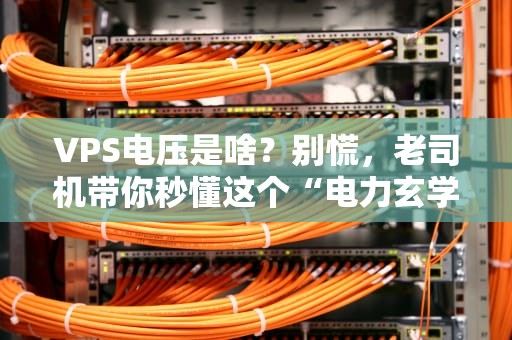 VPS电压是啥？别慌，老司机带你秒懂这个“电力玄学”！