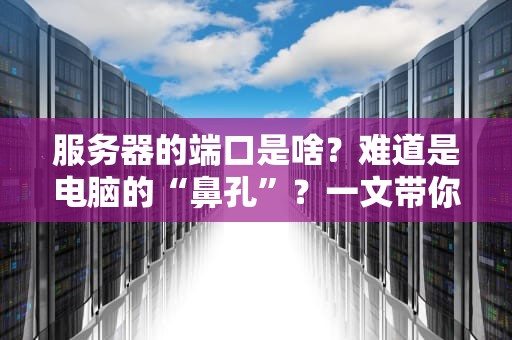 服务器的端口是啥？难道是电脑的“鼻孔”？一文带你轻松搞懂！