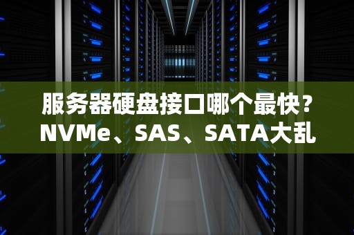 服务器硬盘接口哪个最快？NVMe、SAS、SATA大乱斗，速度狂魔竟是它！