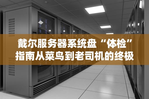 戴尔服务器系统盘“体检”指南从菜鸟到老司机的终极姿势