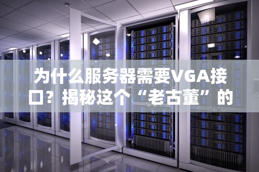 为什么服务器需要VGA接口？揭秘这个“老古董”的硬核存在价值！