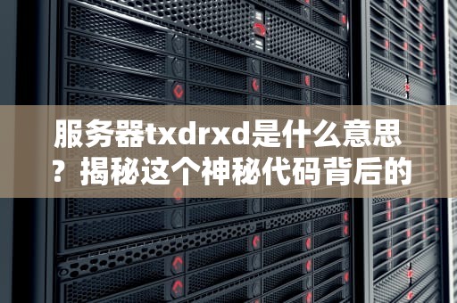服务器txdrxd是什么意思？揭秘这个神秘代码背后的技术玄机！