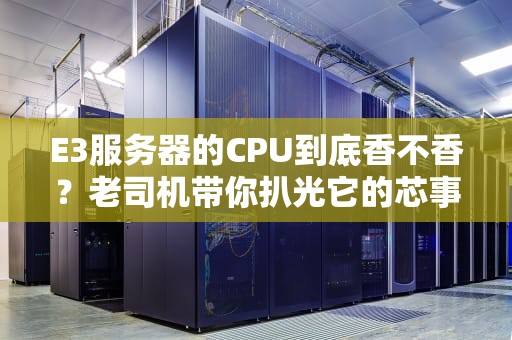 E3服务器的CPU到底香不香？老司机带你扒光它的芯事！