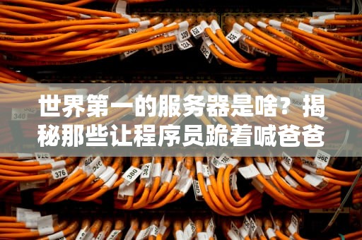 世界第一的服务器是啥？揭秘那些让程序员跪着喊爸爸的性能怪兽！