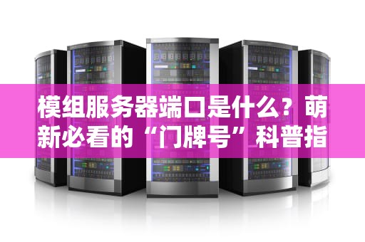 模组服务器端口是什么？萌新必看的“门牌号”科普指南！