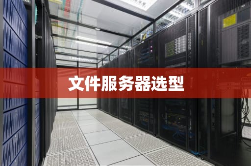 文件服务器选型