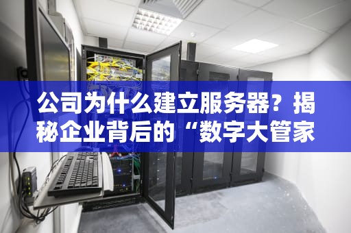 公司为什么建立服务器？揭秘企业背后的“数字大管家”