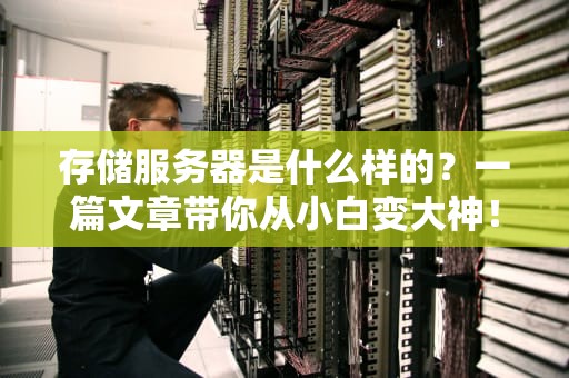 存储服务器是什么样的？一篇文章带你从小白变大神！