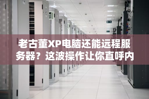 老古董XP电脑还能远程服务器？这波操作让你直呼内行！