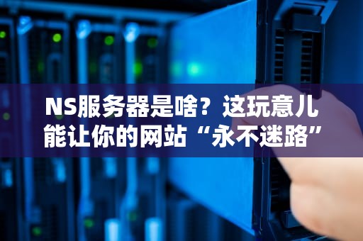 NS服务器是啥？这玩意儿能让你的网站“永不迷路”！