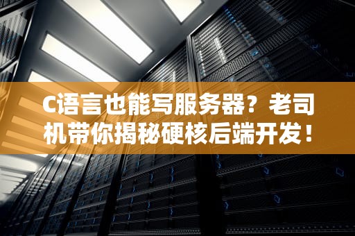 C语言也能写服务器？老司机带你揭秘硬核后端开发！