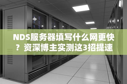 NDS服务器填写什么网更快？资深博主实测这3招提速50%！