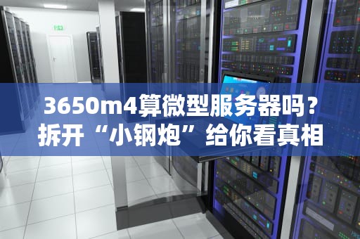 3650m4算微型服务器吗？拆开“小钢炮”给你看真相！