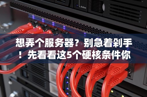 想弄个服务器？别急着剁手！先看看这5个硬核条件你达标没？