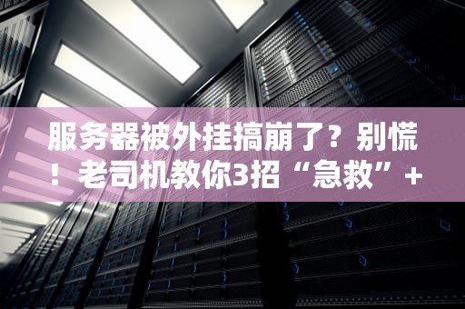 服务器被外挂搞崩了？别慌！老司机教你3招“急救”+防坑指南