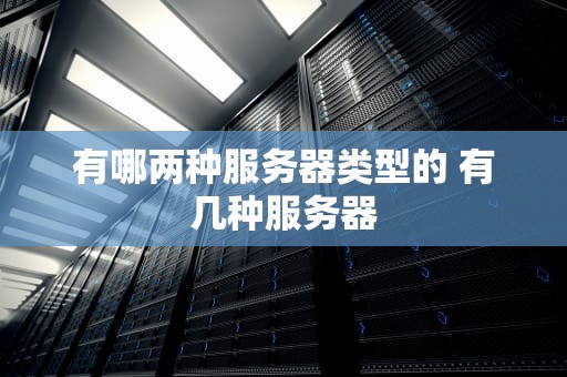 有哪两种服务器类型的 有几种服务器