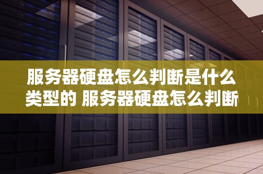 服务器硬盘怎么判断是什么类型的 服务器硬盘怎么判断是什么类型的存储器