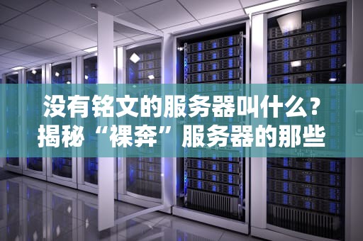 没有铭文的服务器叫什么？揭秘“裸奔”服务器的那些事儿！