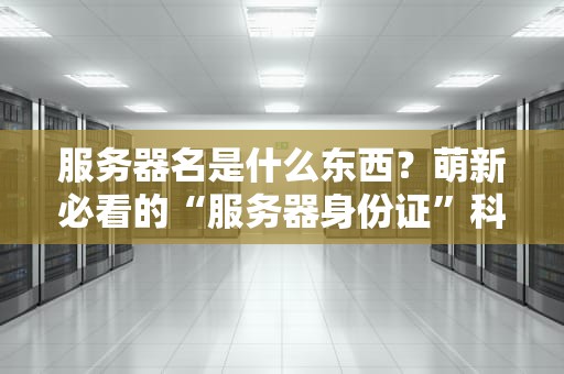 服务器名是什么东西？萌新必看的“服务器身份证”科普指南！
