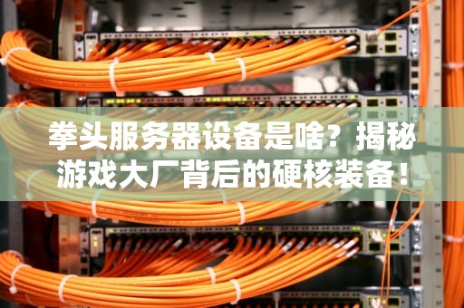 拳头服务器设备是啥？揭秘游戏大厂背后的硬核装备！