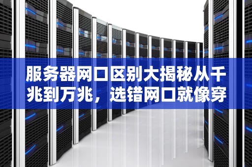 服务器网口区别大揭秘从千兆到万兆，选错网口就像穿错鞋！