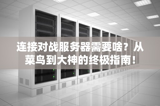 连接对战服务器需要啥？从菜鸟到大神的终极指南！