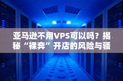 亚马逊不用VPS可以吗？揭秘“裸奔”开店的风险与骚操作！