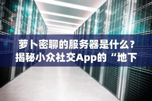 萝卜密聊的服务器是什么？揭秘小众社交App的“地下情报站”技术内幕！