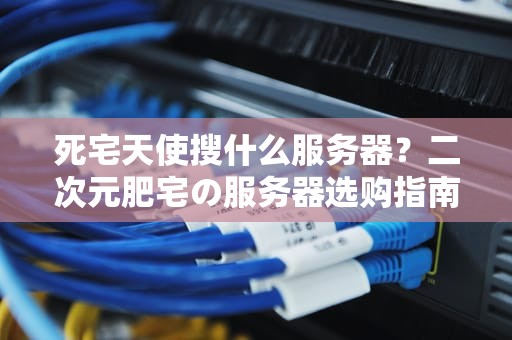 死宅天使搜什么服务器？二次元肥宅の服务器选购指南（附超详细测评）